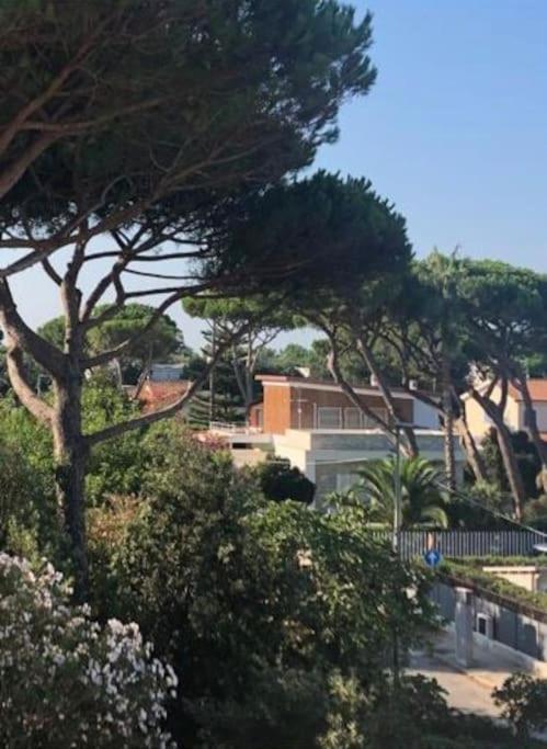 Appartamento Signorile, Luminosissima Vista Mare Fregenae Exterior photo